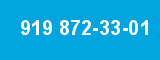 919 872-33-01 919 872-33-01